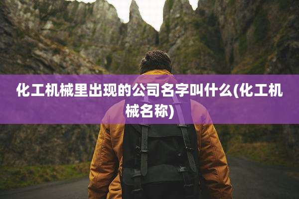 化工机械里出现的公司名字叫什么(化工机械名称)