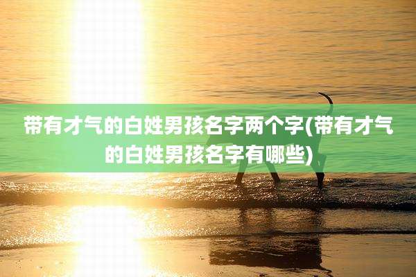 带有才气的白姓男孩名字两个字(带有才气的白姓男孩名字有哪些)