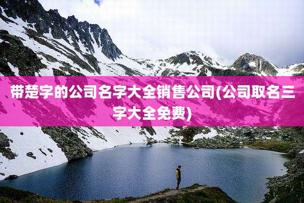 带楚字的公司名字大全销售公司(公司取名三字大全免费)