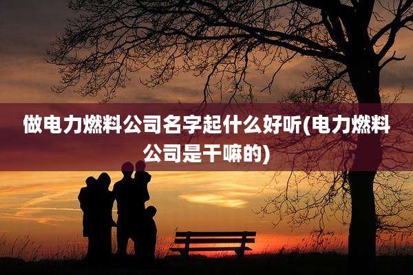 做电力燃料公司名字起什么好听(电力燃料公司是干嘛的)