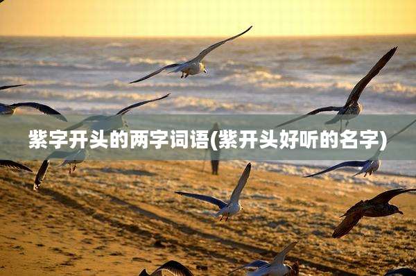 紫字开头的两字词语(紫开头好听的名字)
