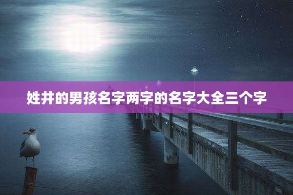 姓井的男孩名字两字的名字大全三个字