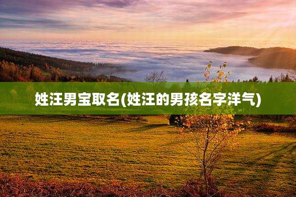 姓汪男宝取名(姓汪的男孩名字洋气)