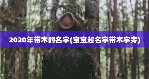 2020年带木的名字(宝宝起名字带木字旁)
