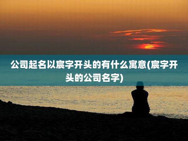 公司起名以宸字开头的有什么寓意(宸字开头的公司名字)