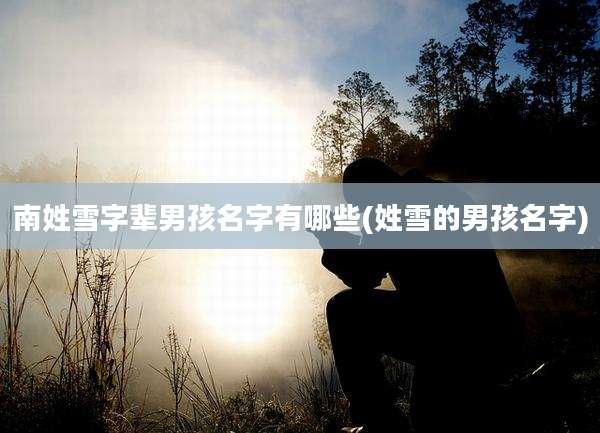 南姓雪字辈男孩名字有哪些(姓雪的男孩名字)