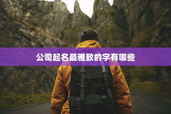 公司起名最雅致的字有哪些