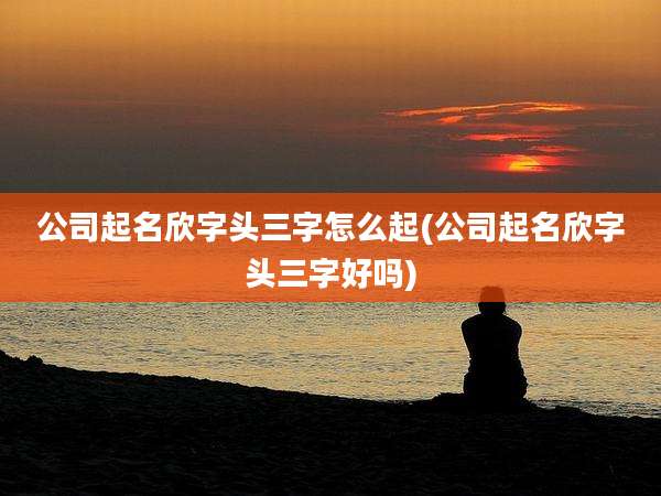 公司起名欣字头三字怎么起(公司起名欣字头三字好吗)
