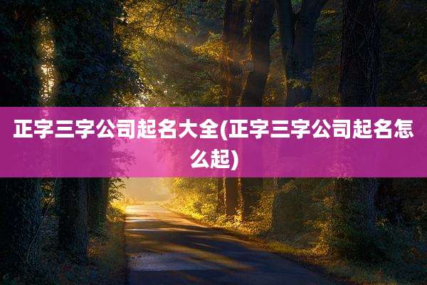 正字三字公司起名大全(正字三字公司起名怎么起)