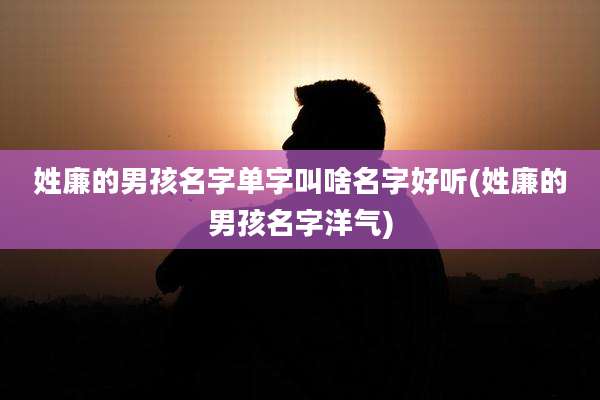 姓廉的男孩名字单字叫啥名字好听(姓廉的男孩名字洋气)