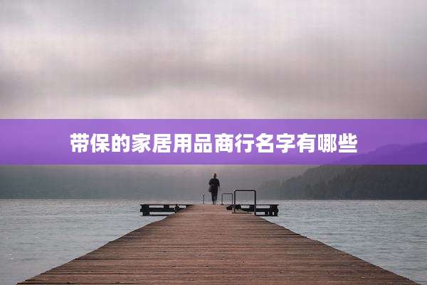 带保的家居用品商行名字有哪些