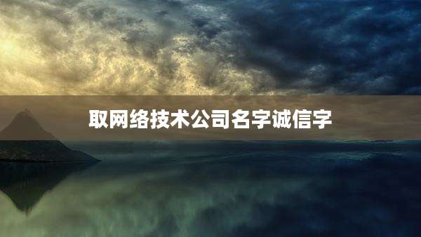 取网络技术公司名字诚信字