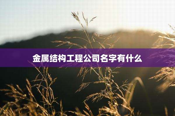 金属结构工程公司名字有什么