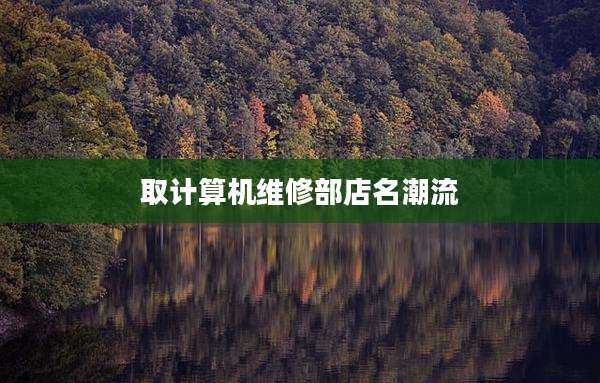 取计算机维修部店名潮流