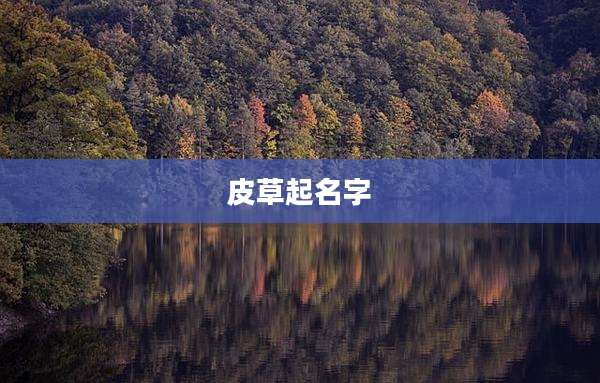 皮草起名字