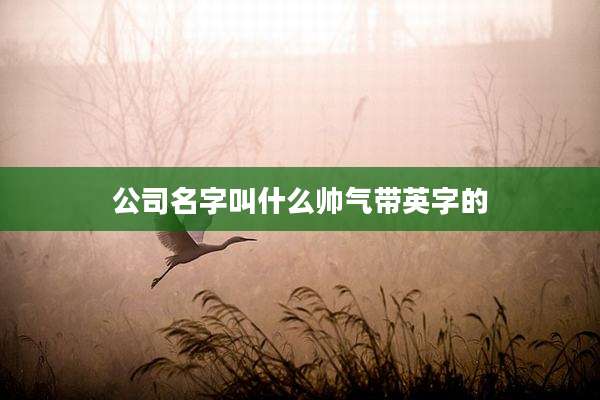 公司名字叫什么帅气带英字的