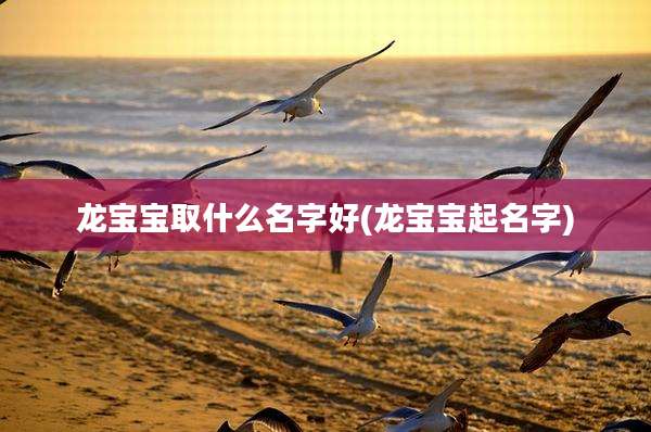 龙宝宝取什么名字好(龙宝宝起名字)
