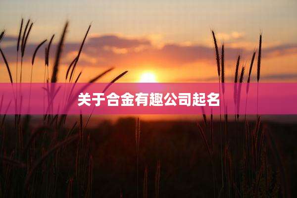 关于合金有趣公司起名