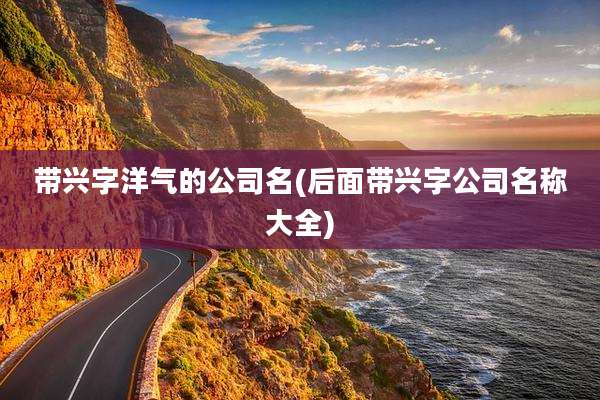 带兴字洋气的公司名(后面带兴字公司名称大全)