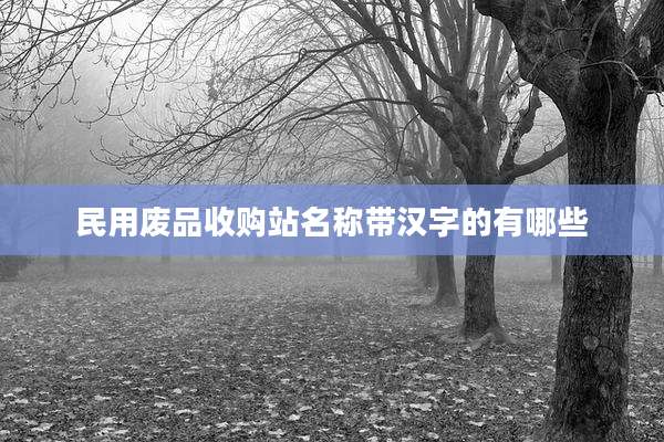 民用废品收购站名称带汉字的有哪些