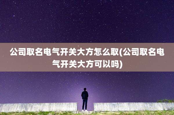 公司取名电气开关大方怎么取(公司取名电气开关大方可以吗)