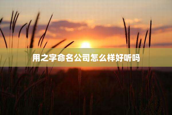 用之字命名公司怎么样好听吗