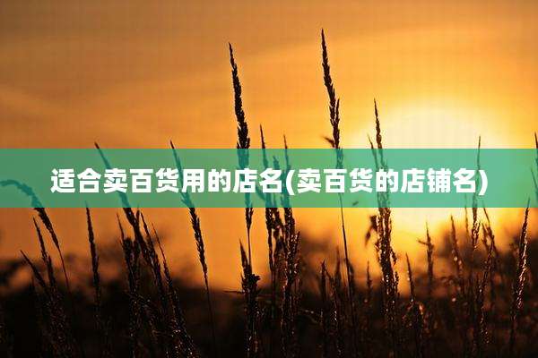 适合卖百货用的店名(卖百货的店铺名)