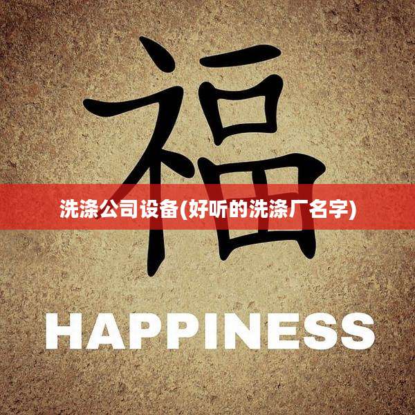 洗涤公司设备(好听的洗涤厂名字)
