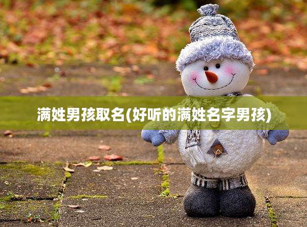 满姓男孩取名(好听的满姓名字男孩)