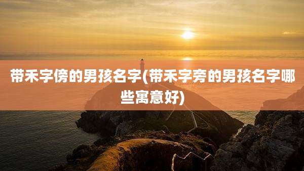 带禾字傍的男孩名字(带禾字旁的男孩名字哪些寓意好)