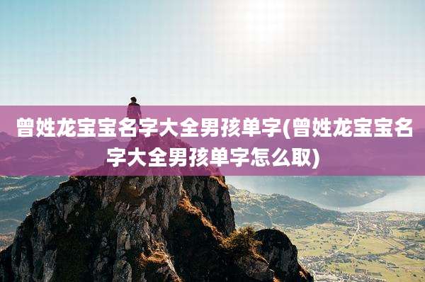 曾姓龙宝宝名字大全男孩单字(曾姓龙宝宝名字大全男孩单字怎么取)