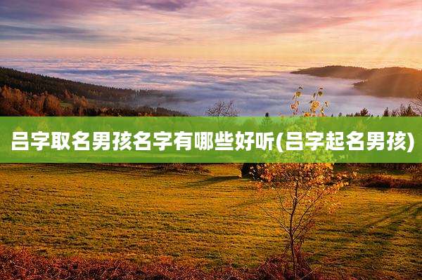 吕字取名男孩名字有哪些好听(吕字起名男孩)