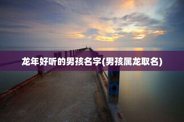 龙年好听的男孩名字(男孩属龙取名)