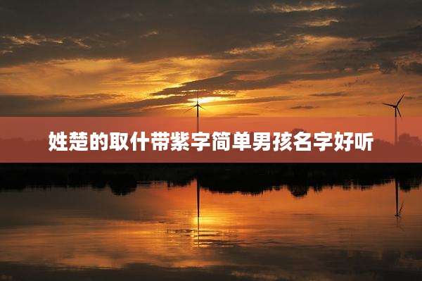 姓楚的取什带紫字简单男孩名字好听