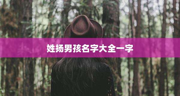 姓扬男孩名字大全一字