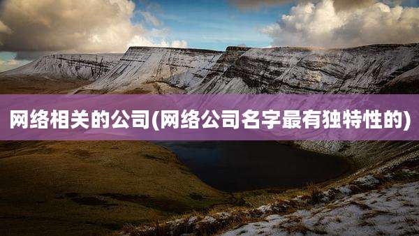网络相关的公司(网络公司名字最有独特性的)