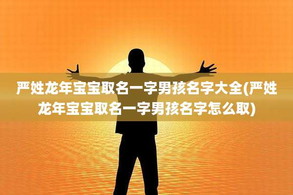 严姓龙年宝宝取名一字男孩名字大全(严姓龙年宝宝取名一字男孩名字怎么取)