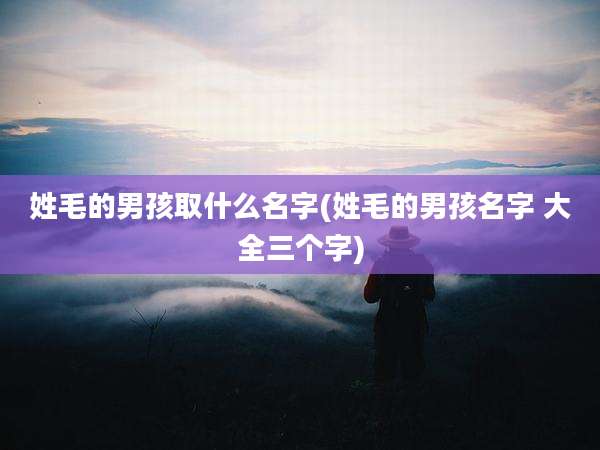 姓毛的男孩取什么名字(姓毛的男孩名字 大全三个字)