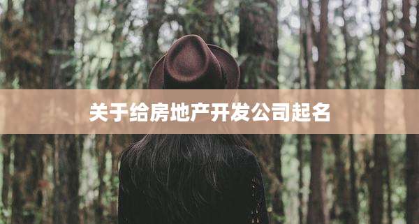 关于给房地产开发公司起名