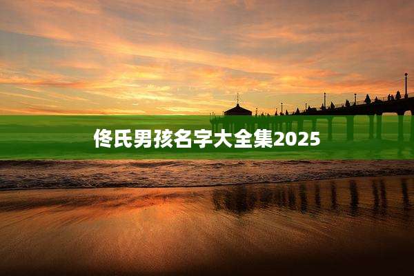 佟氏男孩名字大全集2025