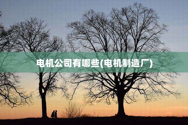 电机公司有哪些(电机制造厂)