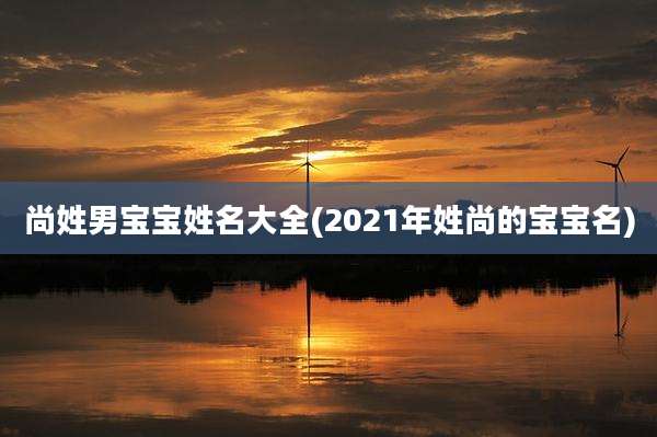 尚姓男宝宝姓名大全(2021年姓尚的宝宝名)