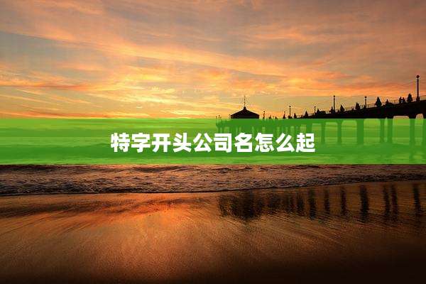 特字开头公司名怎么起