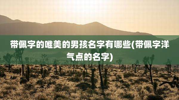 带佩字的唯美的男孩名字有哪些(带佩字洋气点的名字)