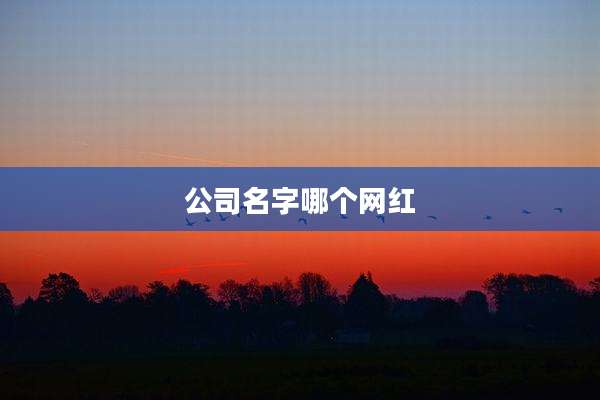 公司名字哪个网红