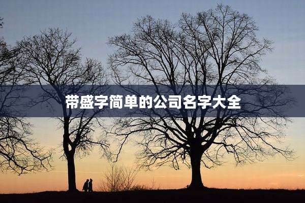 带盛字简单的公司名字大全