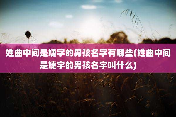 姓曲中间是婕字的男孩名字有哪些(姓曲中间是婕字的男孩名字叫什么)