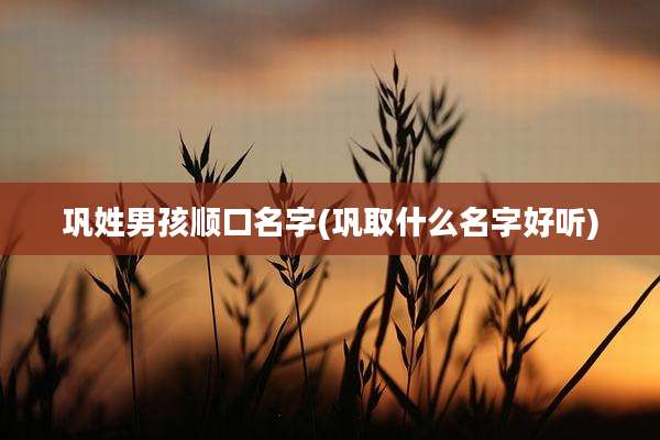 巩姓男孩顺口名字(巩取什么名字好听)