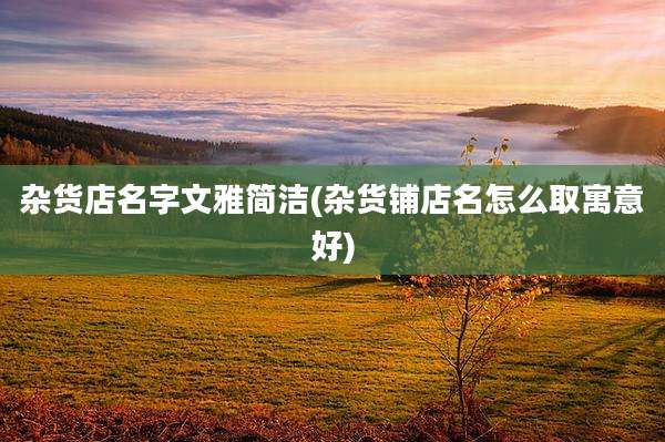 杂货店名字文雅简洁(杂货铺店名怎么取寓意好)