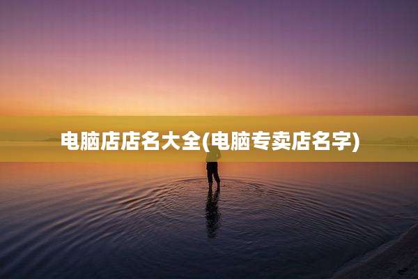 电脑店店名大全(电脑专卖店名字)